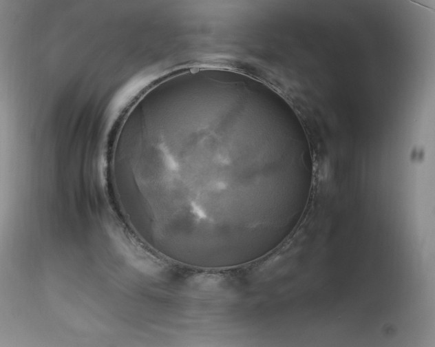 X0000112970294200908271149