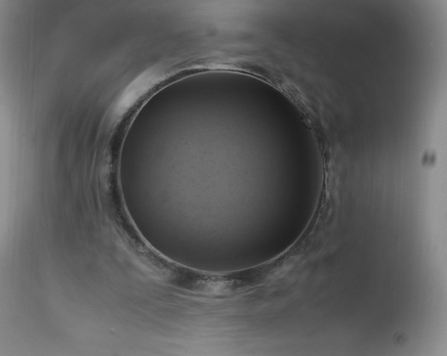 X0000112970295200908271149