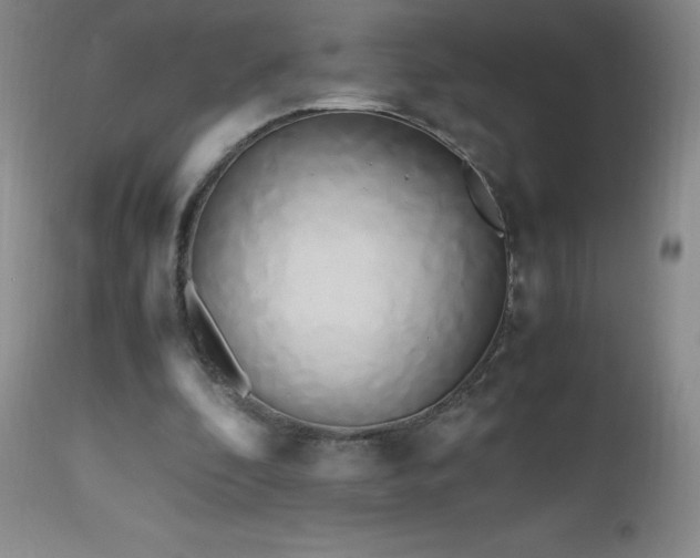 X0000112970296200908271149