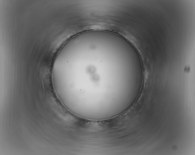 X0000112970297200908271149