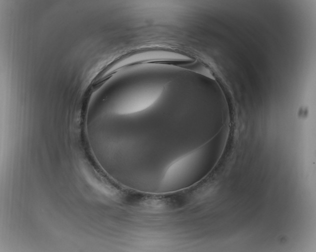 X0000112970299200908271149