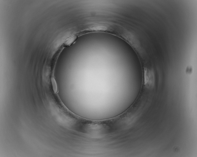 X0000112970300200908271149