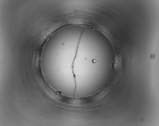 X0000112970301200908271149