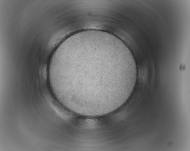 X0000112970302200908271149