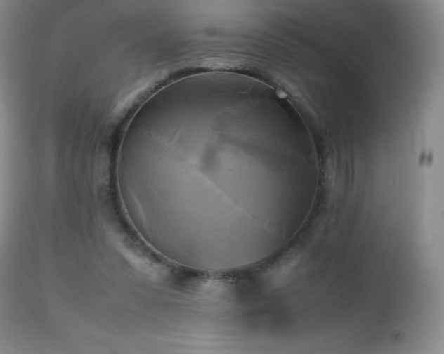 X0000112970303200908271149