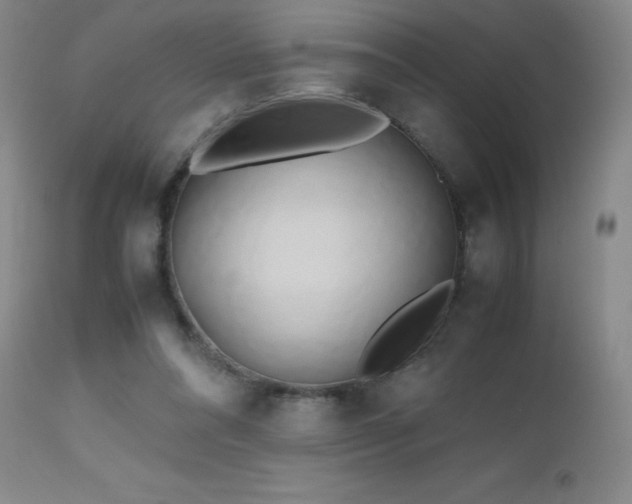 X0000112970304200908271149