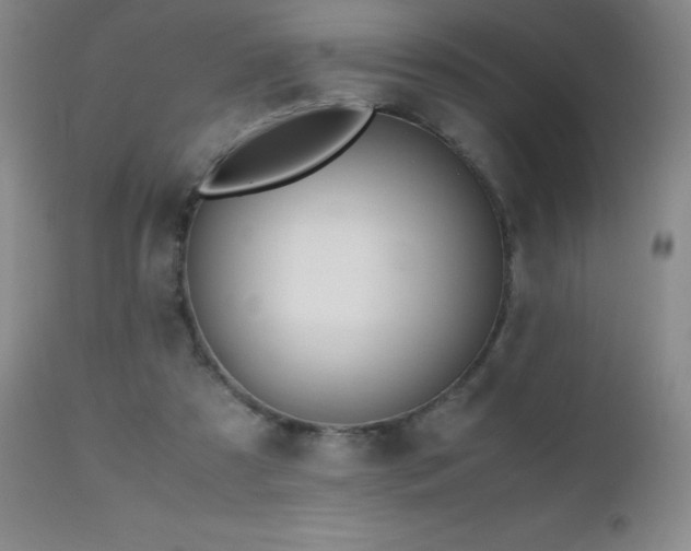 X0000112970305200908271149