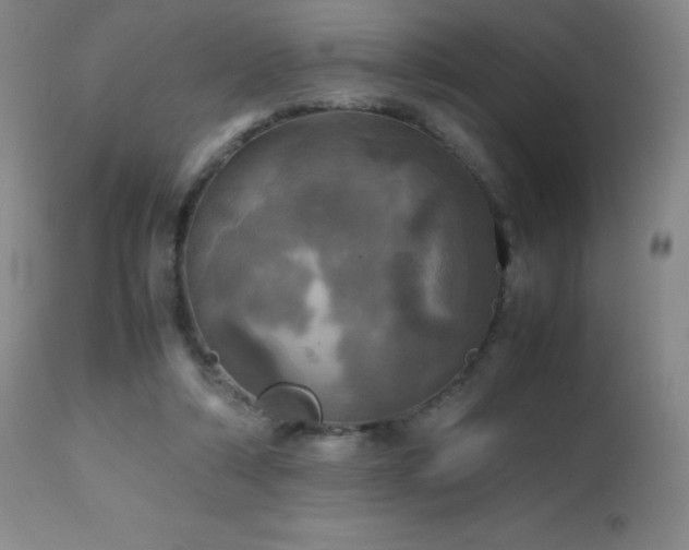 X0000112970306200908271149