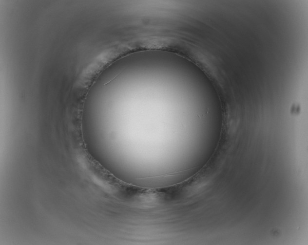 X0000112970307200908271149