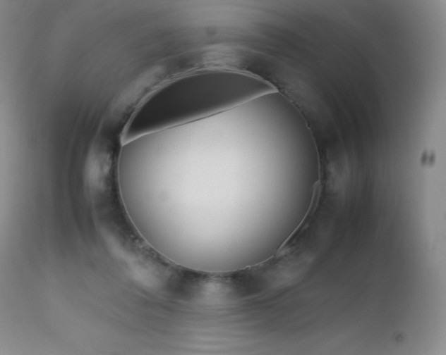 X0000112970308200908271149