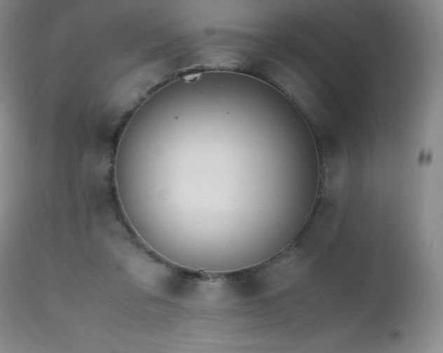 X0000112970309200908271149