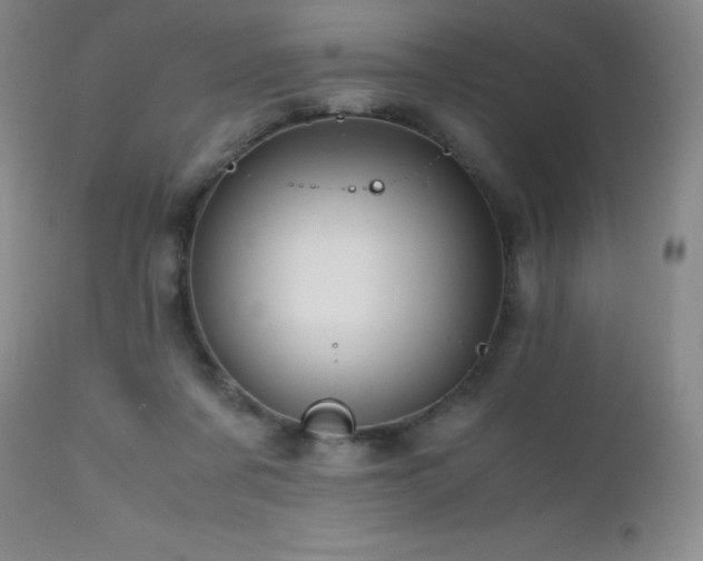 X0000112970311200908271149