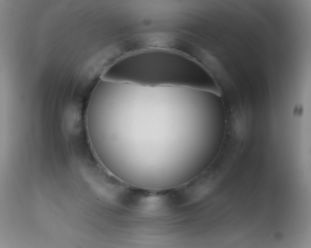 X0000112970312200908271149