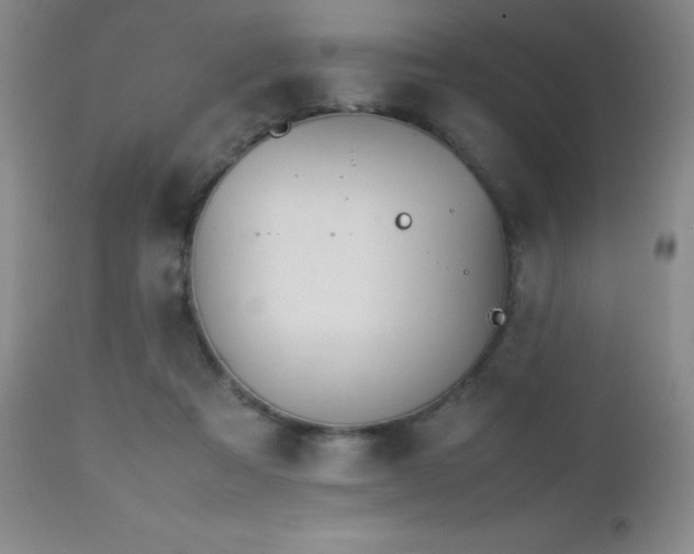 X0000112970313200908271149