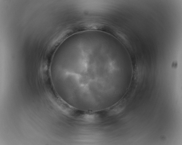 X0000112970314200908271149