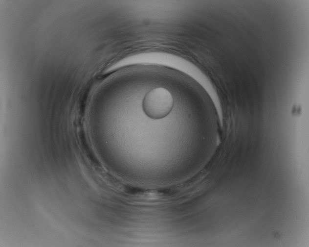 X0000112970316200908271149