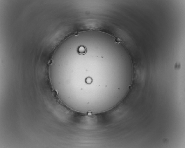 X0000112970317200908271149