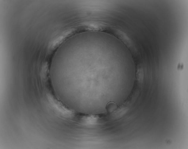 X0000112970318200908271149