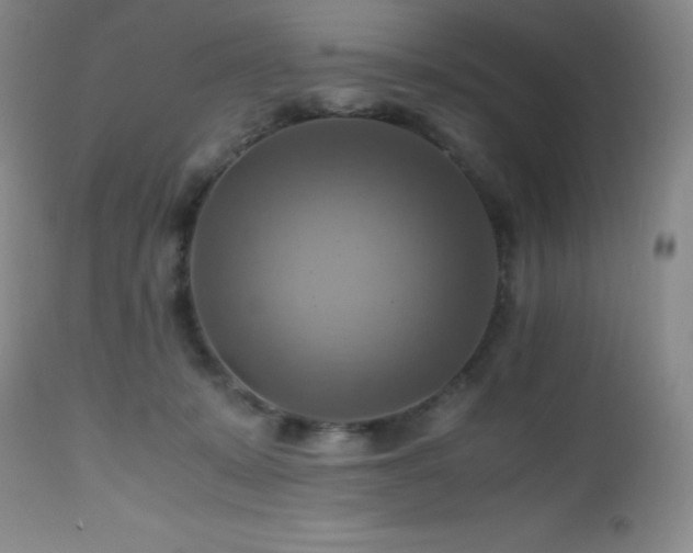 X0000112970319200908271149