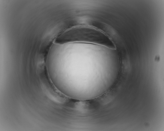 X0000112970320200908271149