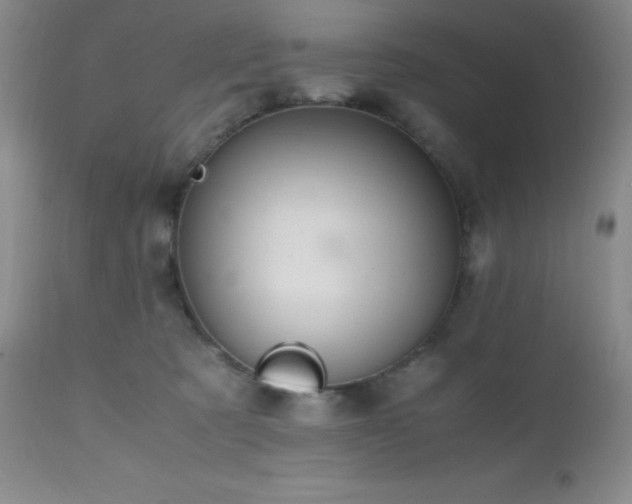 X0000112970321200908271149