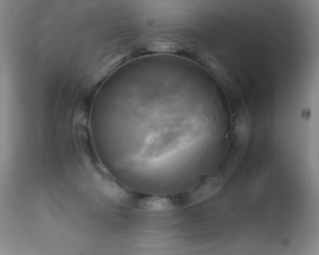 X0000112970322200908271149