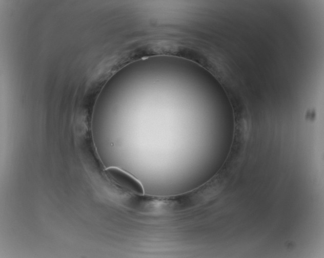 X0000112970323200908271149