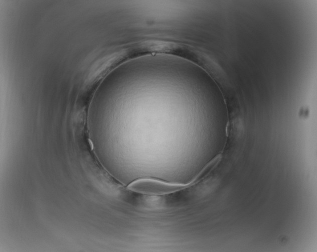 X0000112970325200908271149