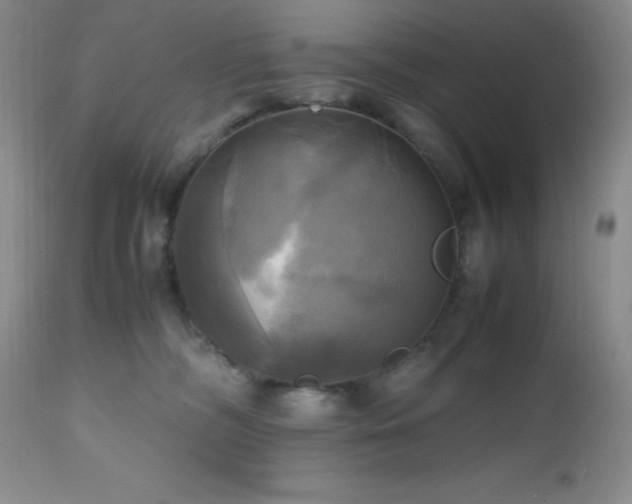 X0000112970326200908271149