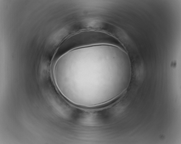 X0000112970328200908271149