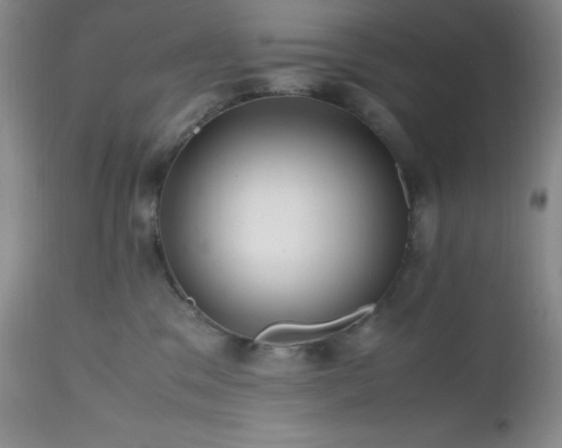 X0000112970329200908271149