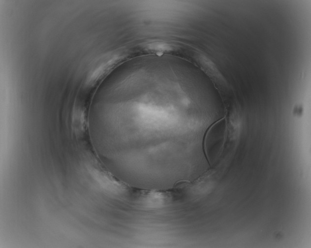 X0000112970330200908271149