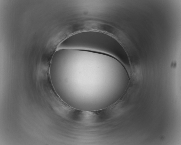 X0000112970333200908271148