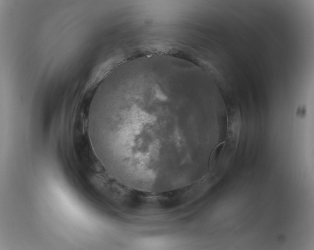 X0000112970334200908271148