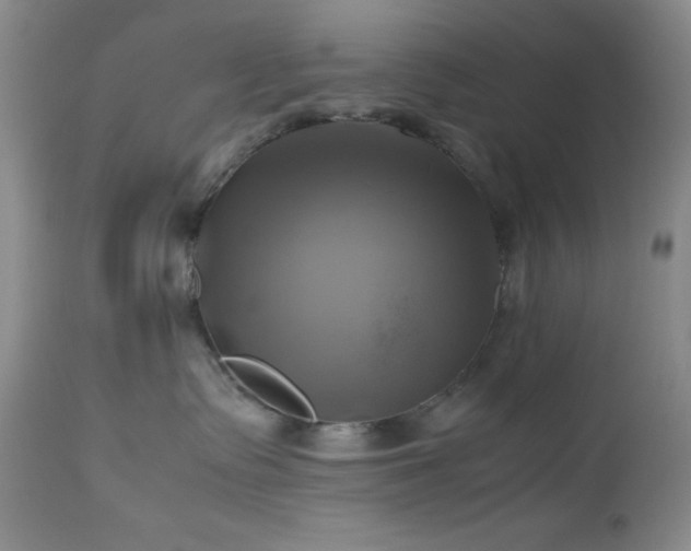 X0000112970335200908271148