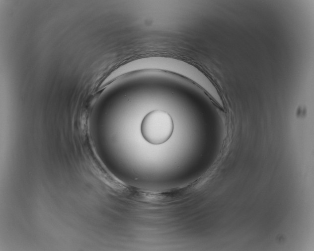 X0000112970336200908271148