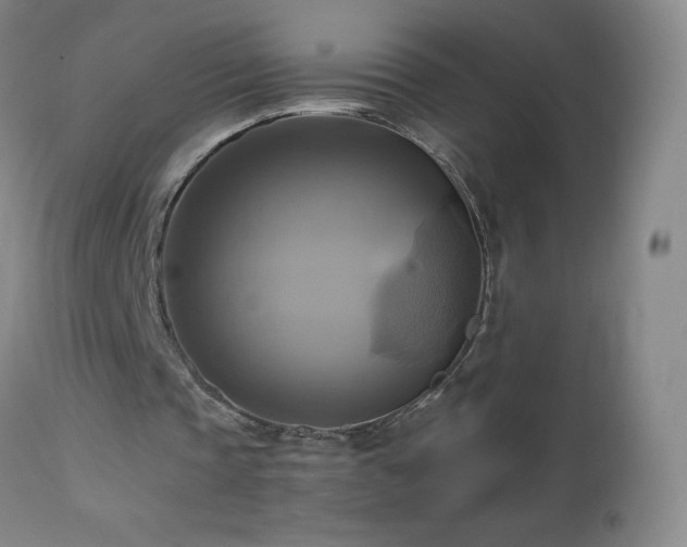 X0000112970337200908271147