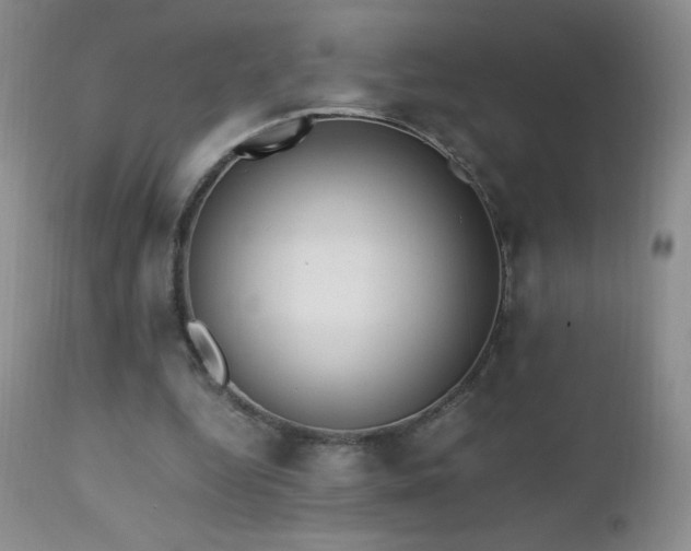 X0000112970344200908271147