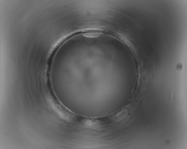 X0000112970346200908271148