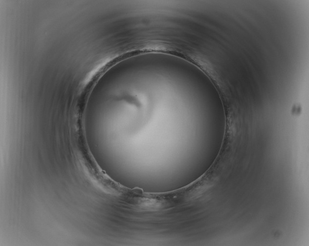 X0000112970347200908271148