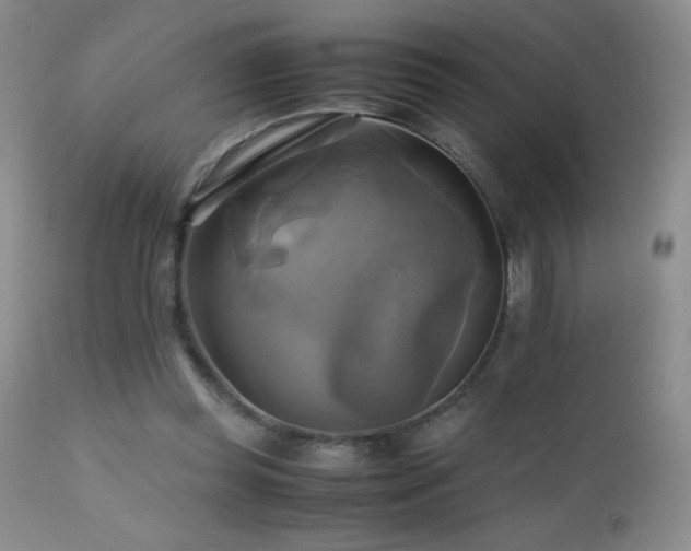 X0000112970349200908271148