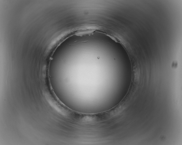 X0000112970350200908271148