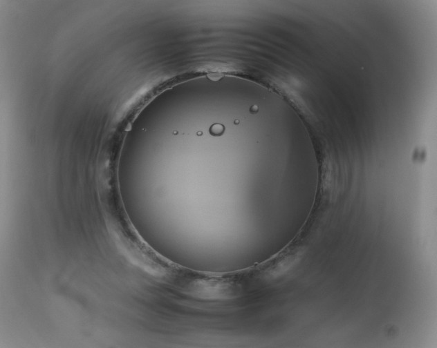 X0000112970351200908271148