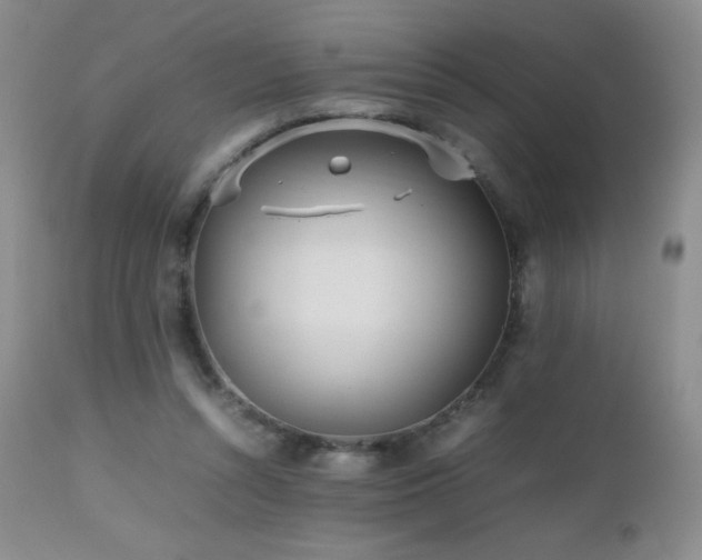 X0000112970352200908271148