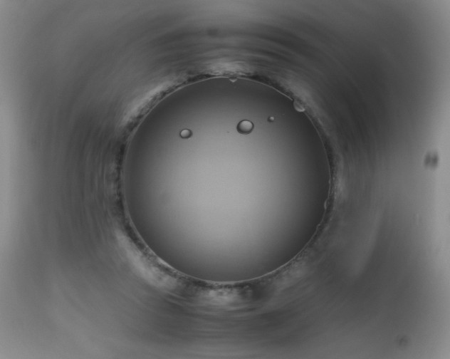 X0000112970353200908271148