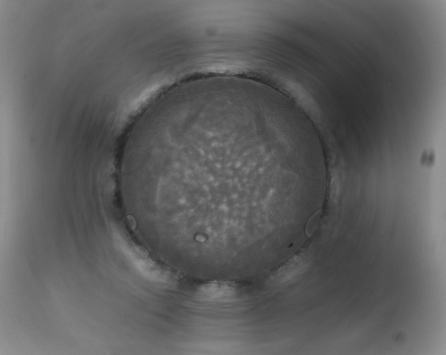 X0000112970354200908271148