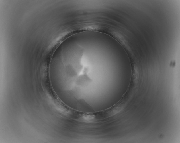 X0000112970355200908271148