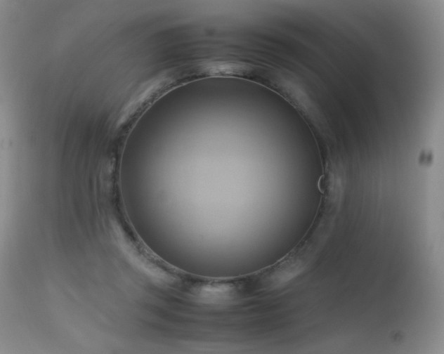 X0000112970357200908271148