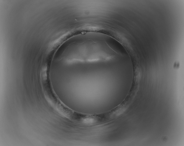 X0000112970358200908271148