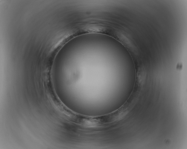 X0000112970359200908271148